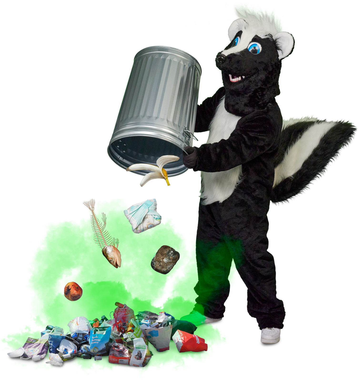 Skunk-garbage-dumping-1